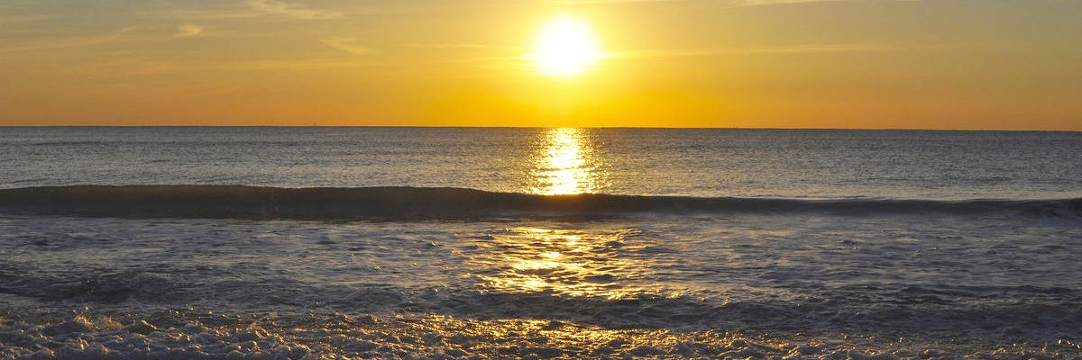 Imagen ilustrativa para: Psico-oncología y cuidados paliativos